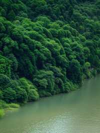 成都3小時即達！闖入綠野仙蹤瀑布群杜鵑花海追猴子