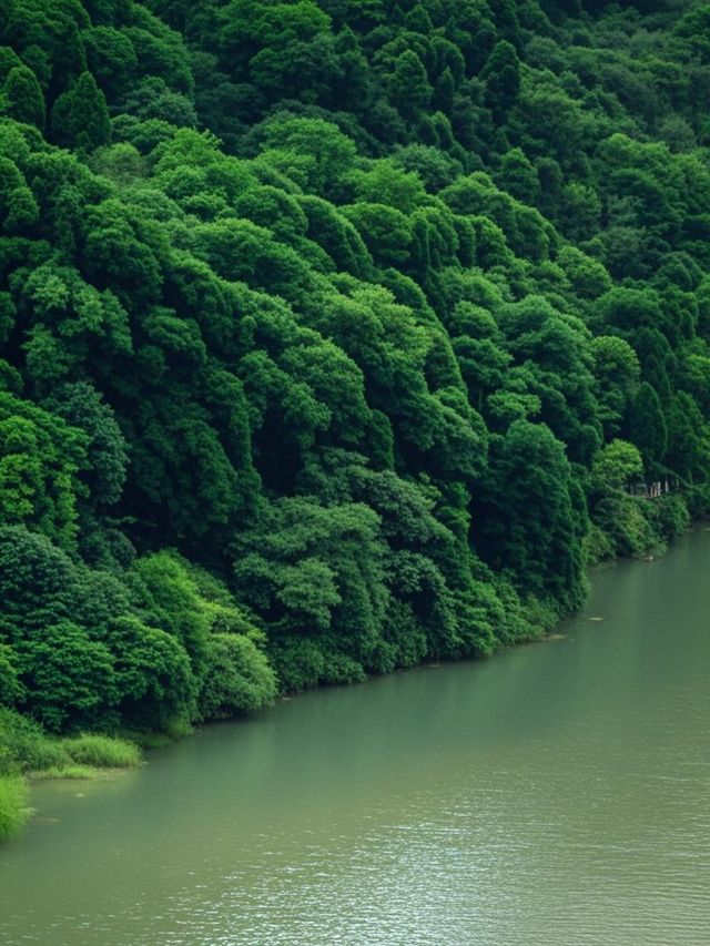 成都3小時即達！闖入綠野仙蹤瀑布群杜鵑花海追猴子