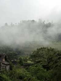 雲和梯田 —— 日出雲海 九曲雲環