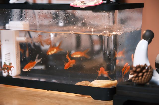 閩韻嵐風：福州平潭兩日漫遊記