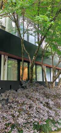 【住喺風景入面】九溪煙樹溪中溪：隱匿山林、最適合森林間徒步～