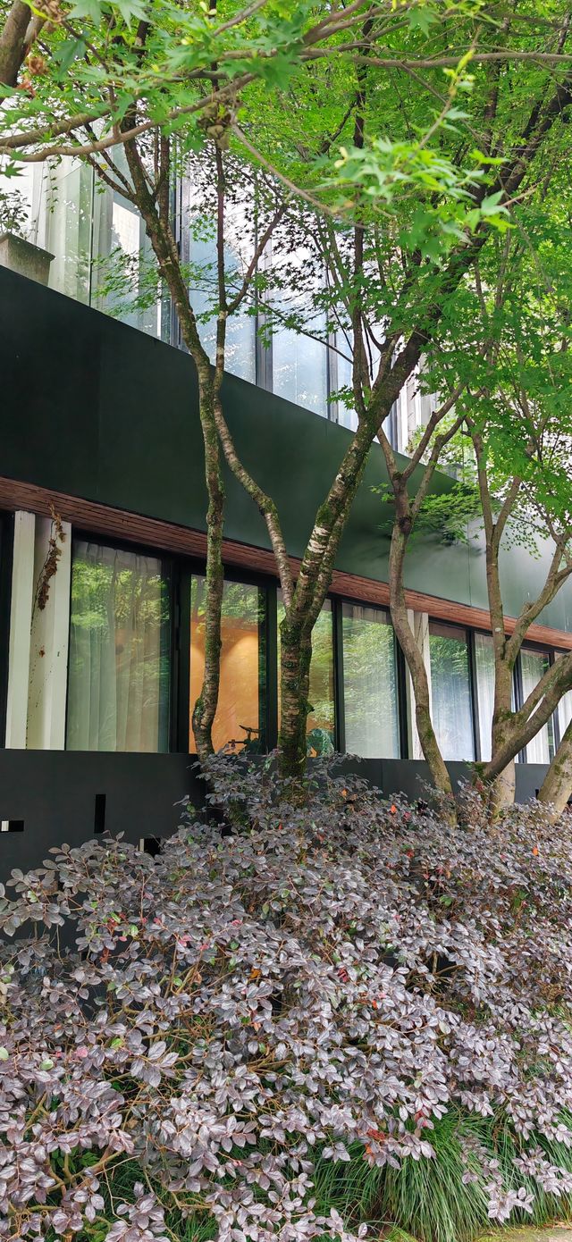 【住喺風景入面】九溪煙樹溪中溪：隱匿山林、最適合森林間徒步～