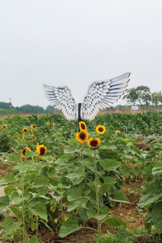 나의 가드닝 가이드 생태농장 2일 1여유로운 여행 가이드