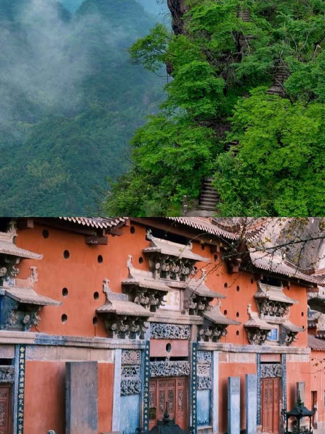 齊雲山已回，講啲難聽嘅大實話