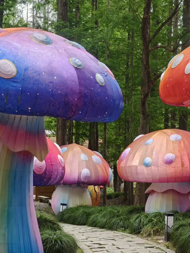 國家地理無呃我！桐廬瑤琳仙境靚到喊