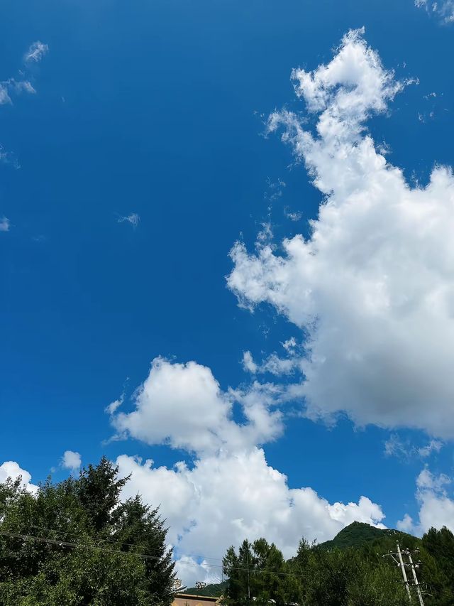 霧中朱雀山的靜謐與孤寂