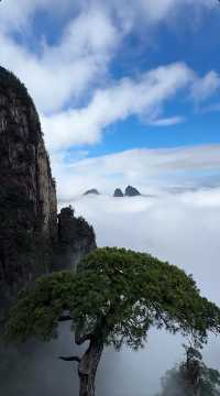我在雲端，你在我心裡！