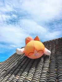 漾上人家 