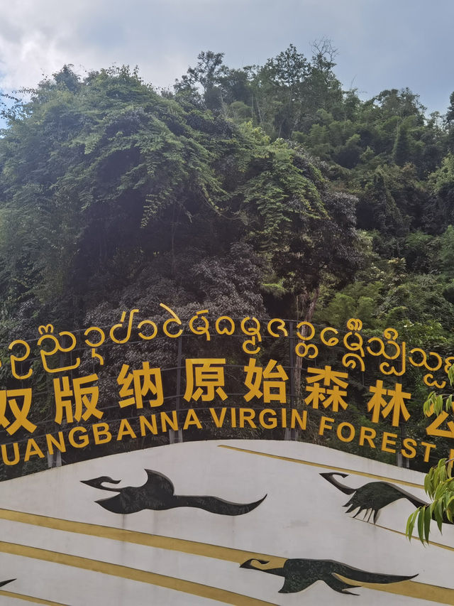 西雙版納5天4夜深度遊 | 從杭州出發嘅雨林奇遇記