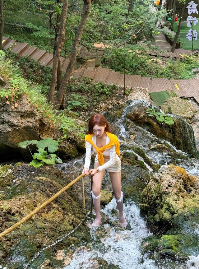山上喘氣落山腳震去一次愛一次嘅王府竹海！今次嚟狠狠愛上咗
