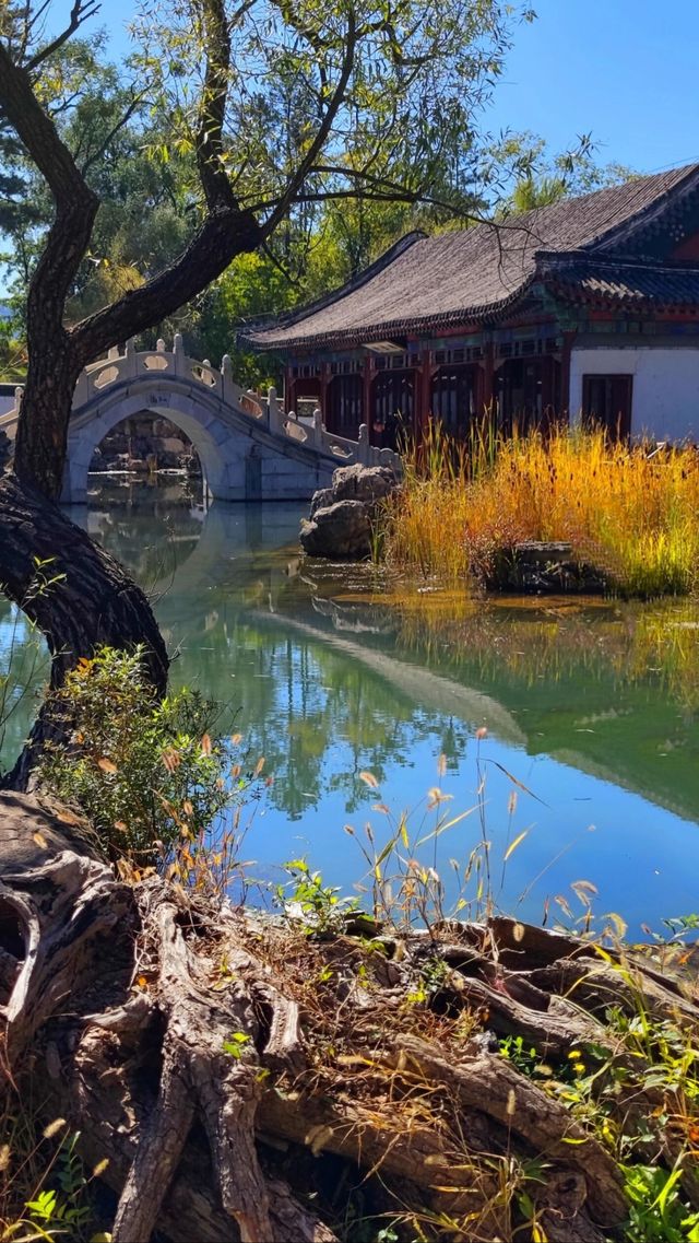 即可以避暑、影相又靚嘅神仙地方