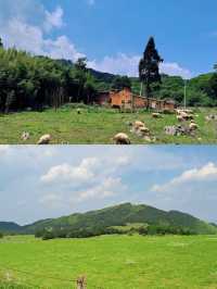 「雲南小阿勒泰」兩日一夜旅遊攻略