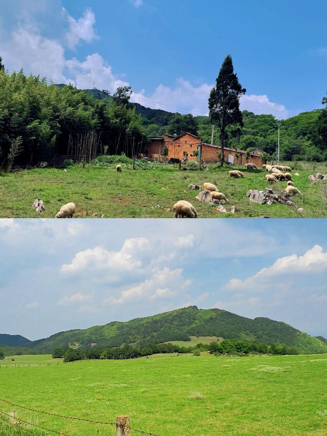 「雲南小阿勒泰」兩日一夜旅遊攻略