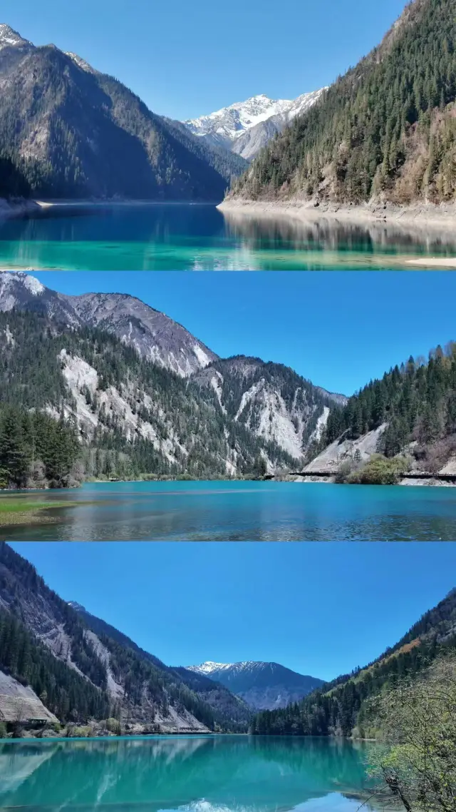 A delightful surprise stop on the road from Chongqing to Jiuzhaigou! The heartwarming experience at Yiju Holiday Hotel in Dujiangyan