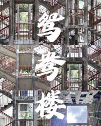 南寧鸳鸯樓｜打卡全攻略，直接夢回老香港
