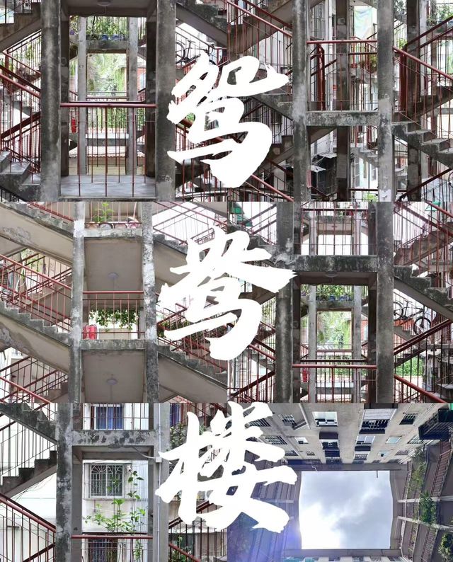 南寧鸳鸯樓｜打卡全攻略，直接夢回老香港