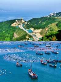 在上海周邊挖到寶！枸杞島夏日玩水超開心～