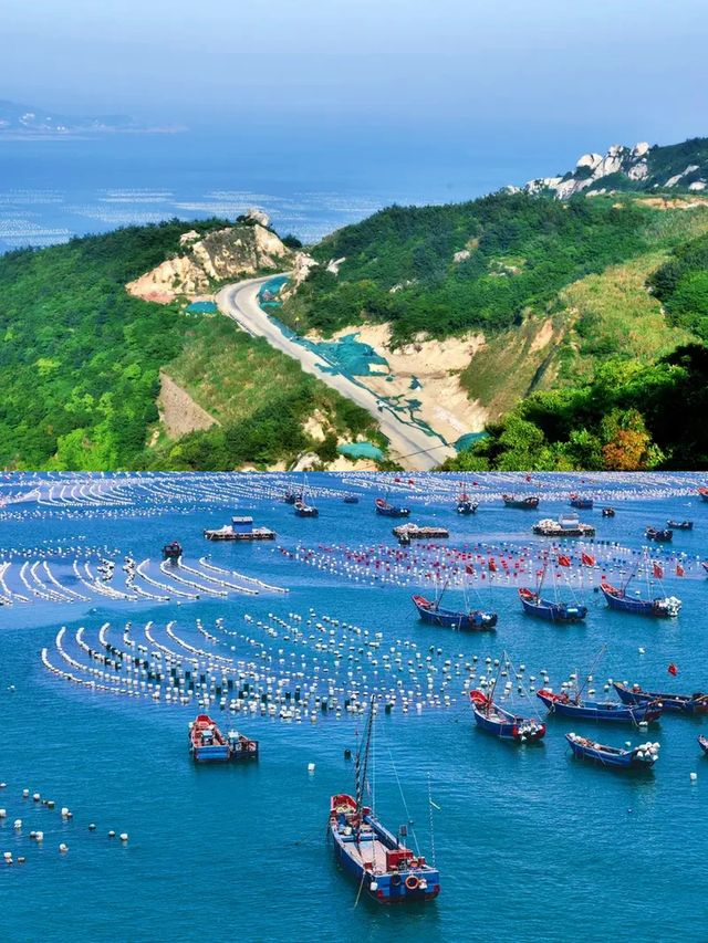 在上海周邊挖到寶！枸杞島夏日玩水超開心～