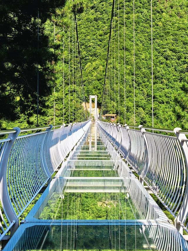 2025隴南旅遊攻略