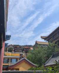 正覺寺心靈之旅