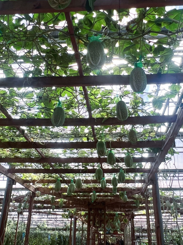 ✅ Global innovations – See how China leads in smart agriculture!