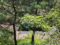 紅林村尋古——黃寶峪古廟遺址