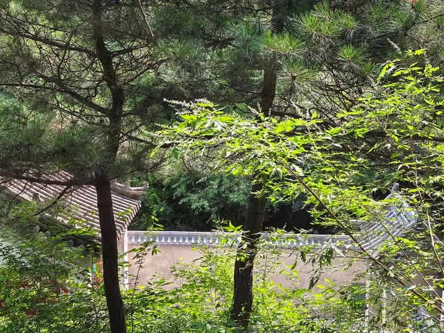 紅林村尋古——黃寶峪古廟遺址