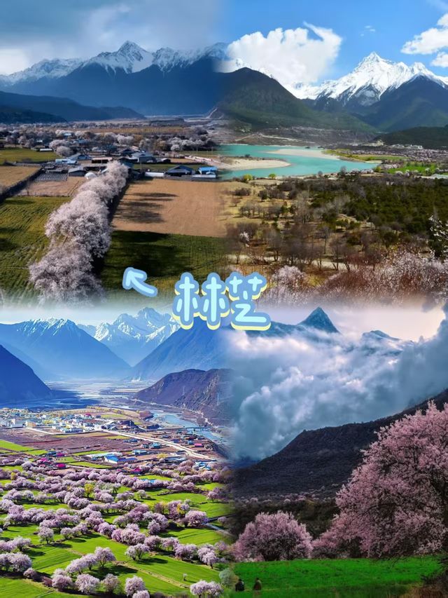 林芝有「西藏江南」嘅美譽，自然風光優美，民族文化獨特。以下係一份旅遊攻略： 景點推薦 - 雅