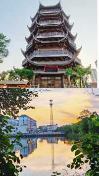 探索中國最大淡水湖嘅濕地天堂