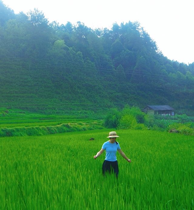 隱居山野嘅詩意生活｜枕住一片蛙鳴入眠