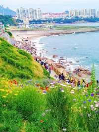 10月青島必打卡燕兒島木棧道錯峰拍照首選！