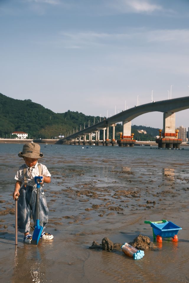 溫州遛娃|夏日洞頭趕海灘塗上撿到的九節蝦
