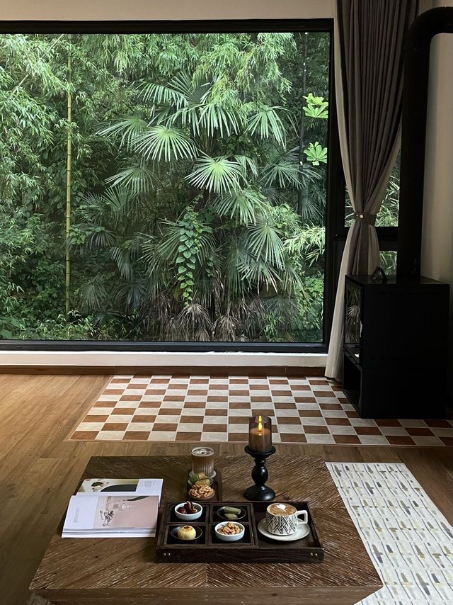 成都青城山！！躲進山野裡的清涼假期