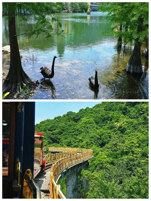 東部華僑城超靚，但真心唔建議7月去，因為.........