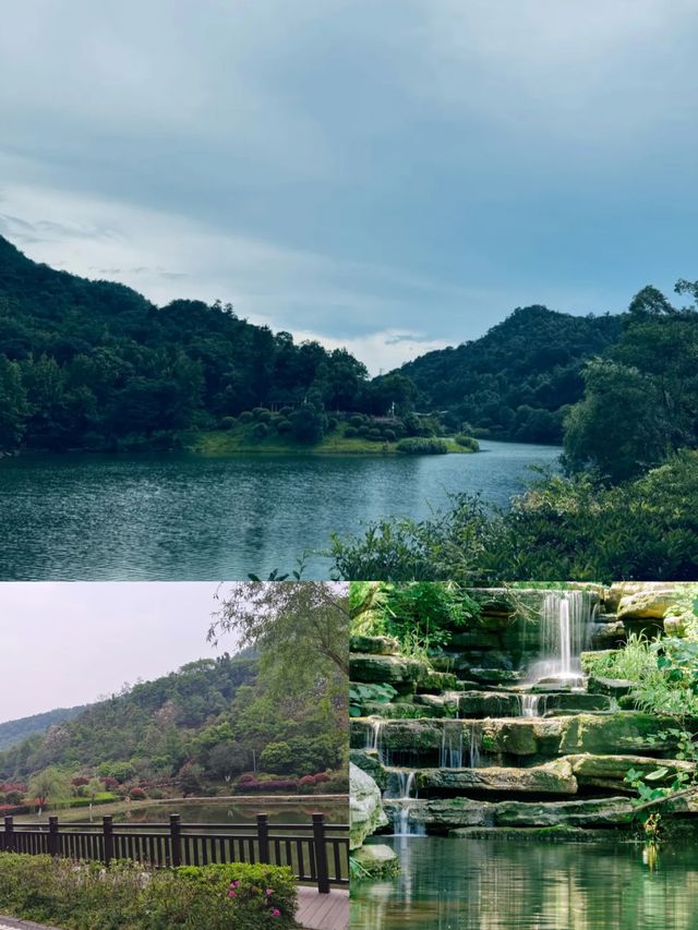【長沙人私藏！呢條行山路線全程樹蔭+水庫遮太陽