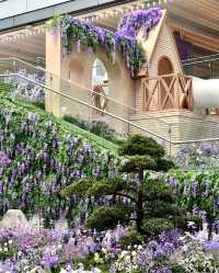 闖入深圳莫奈花園邂逅紫色花海與法式浪漫
