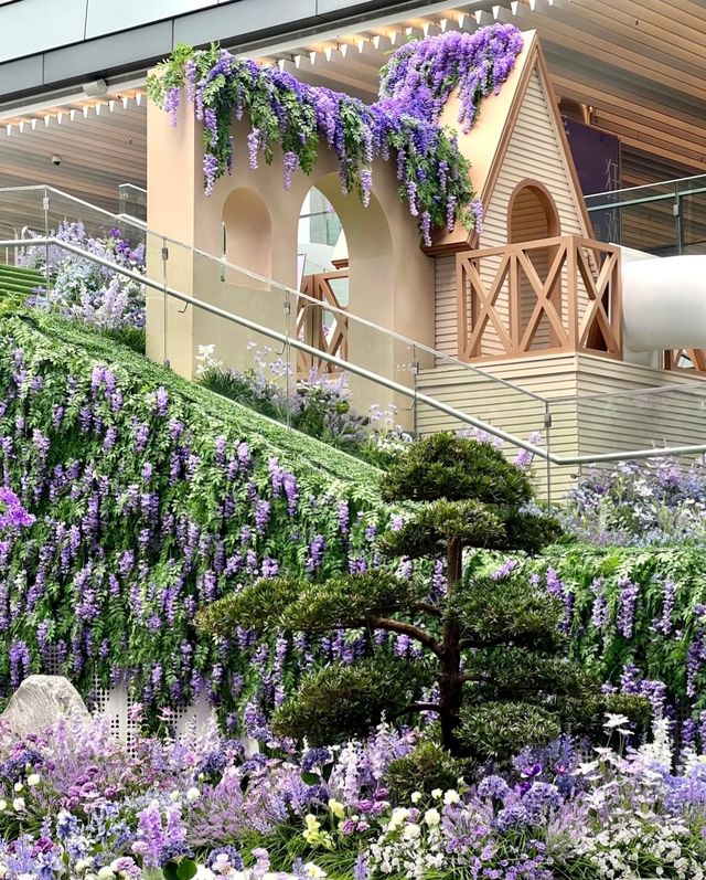 闖入深圳莫奈花園邂逅紫色花海與法式浪漫