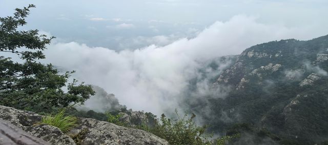 雲霧繚繞的絕美山居大美廬山 雲霧繚繞的絕美山居大美廬山