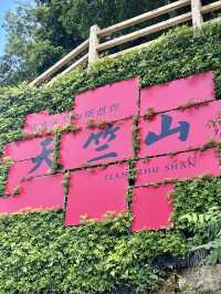 森語低迴,廈門天竺山森林公園