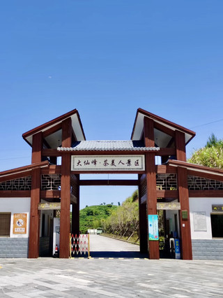 茶香漫步——大田大仙峰茶美人景區