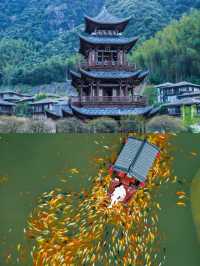 江西葛仙村｜比黃山更仙的避世秘境