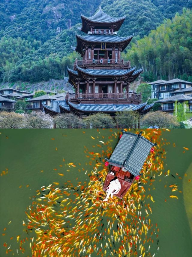 江西葛仙村｜比黃山更仙的避世秘境