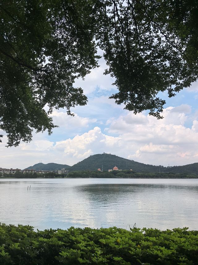 週末輕鬆徒步|順峰山公園9公里環湖路 週末輕鬆徒步|順峰山公園9公里環湖路