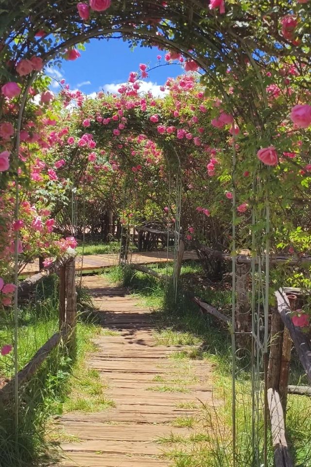 麗江日照金山婚紗照風格