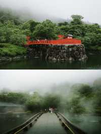 A hidden serene heaven moments from Osaka