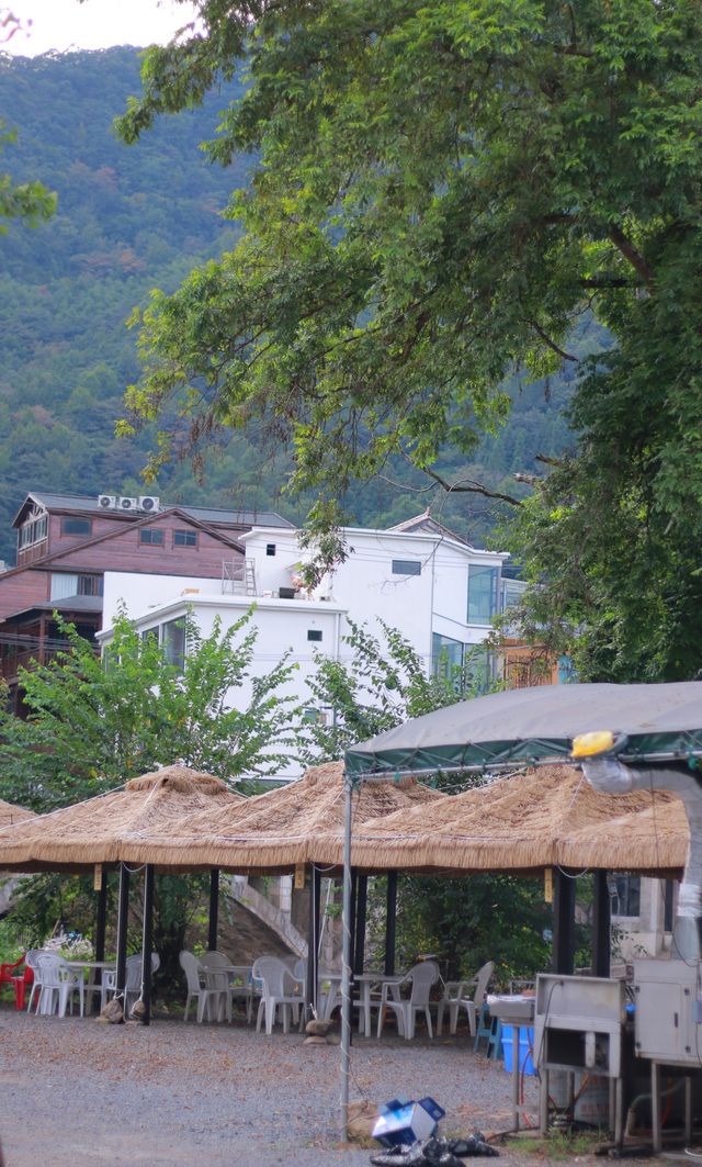 皖南的秋天必須用全屏打開！！！