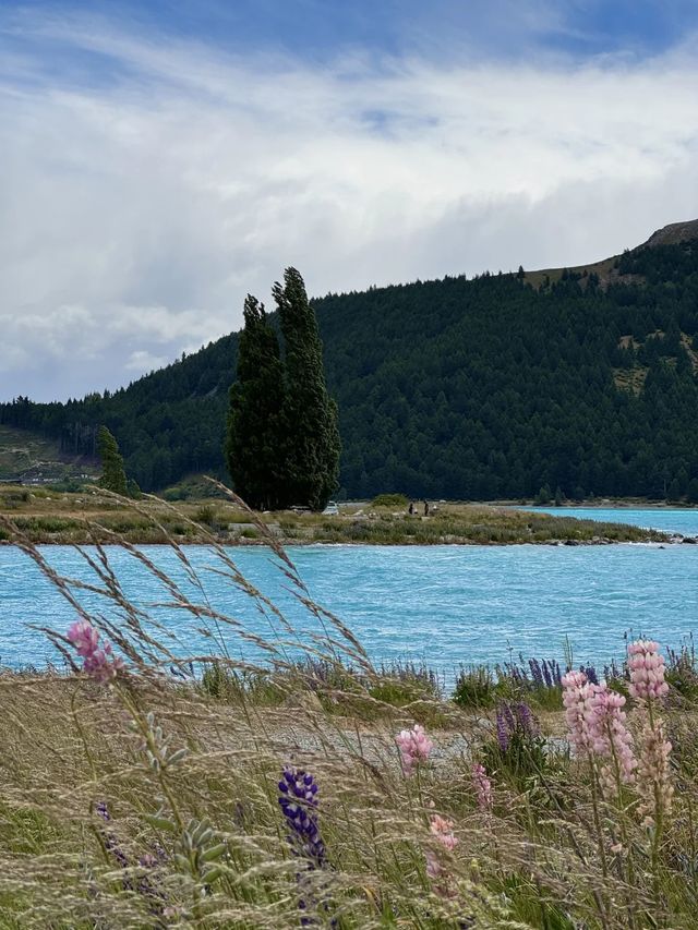 特卡波湖的那抹藍