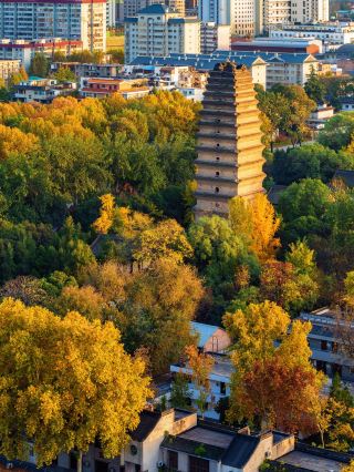 The rain in Xi'an turned the city walls green.