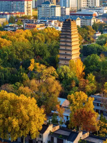 西安的雨把城牆都下綠了~