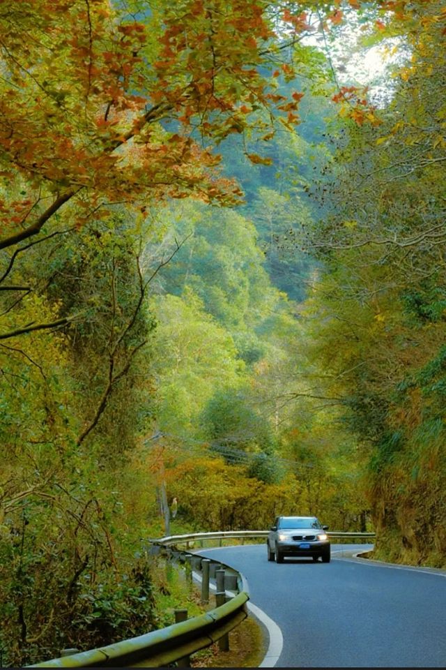10月來天台山賞秋